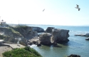 Pismo Beach CA Real Estate, Homes for Sale