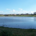 Lake at River Oaks