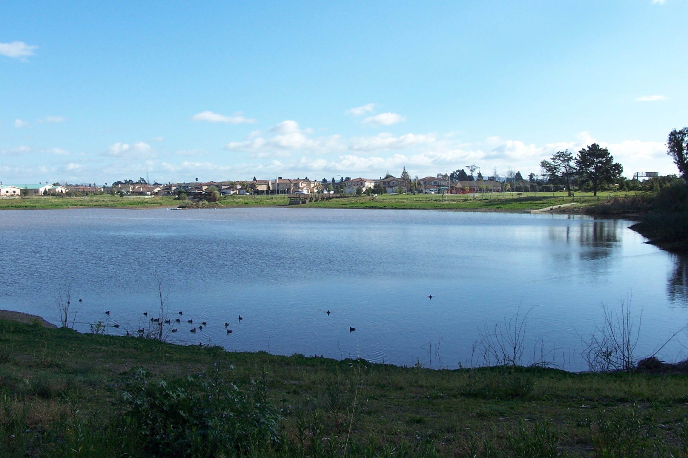 Lake at River Oaks